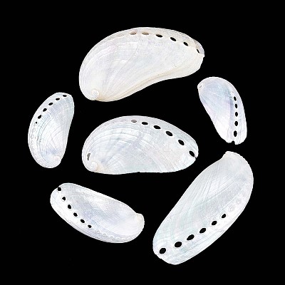 Abalone Shells Ornaments SHEL-T020-54-1