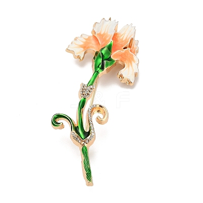 Carnation Alloy Rhinestone Brooches Pins JEWB-I049-04KCG-1