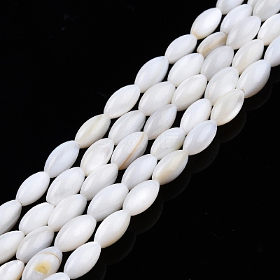 Natural Freshwater Shell Beads Strands SHEL-N026-212-A01-1