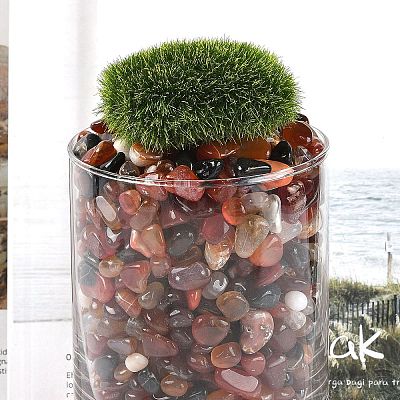 Dyed & Heated Natural Agate Beads G-J402-04B-02-1