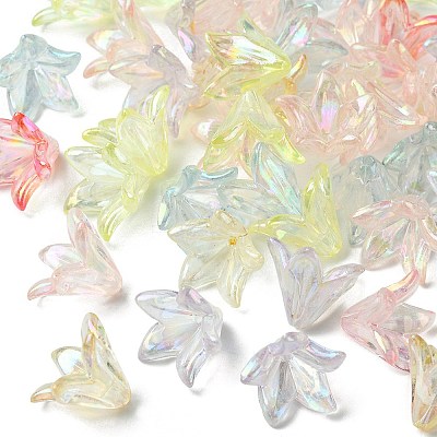 Transparent Acrylic Bead Caps OACR-FS0001-49-1
