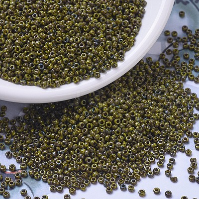 MIYUKI Round Rocailles Beads SEED-X0057-RR4519-1