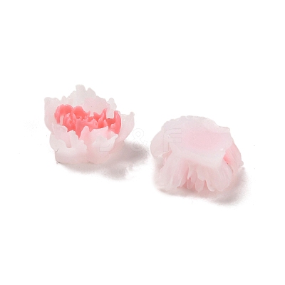Luminous Resin Decoden Cabochons RESI-K036-06D-1