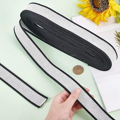 Polyester Braid Ribbon OCOR-WH0068-31A-1