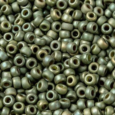 MIYUKI Round Rocailles Beads X-SEED-G008-RR2033-1