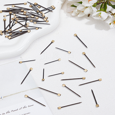 60Pcs 2 Styles Iron Nails IFIN-LP0001-61-1