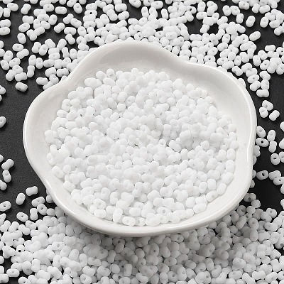 Glass Frosted Seed Beads SEED-K009-05B-01-1