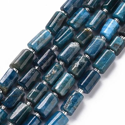 Natural Apatite Beads Strands X-G-S345-8x11-003-1