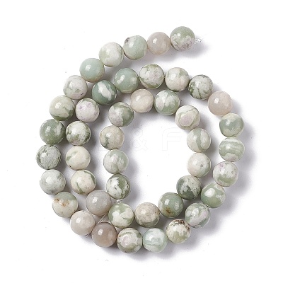Natural Peace Jade Beads Strands X-G-G905-07-6MM-1