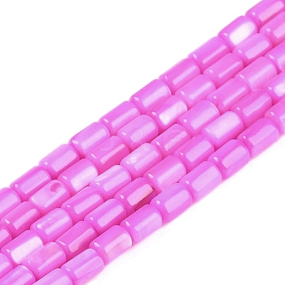 Natural Freshwater Shell Beads Strands BSHE-H109-17B-1