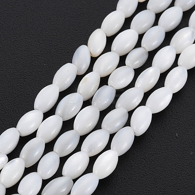 Natural Freshwater Shell Beads Strands SHEL-N027-08A-1
