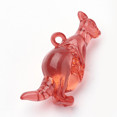 Transparent Acrylic Pendants TACR-T002-09-1
