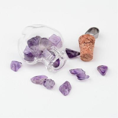 Heart Glass Bottle with Amethyst inside Pendants PALLOY-JF00172-04-1
