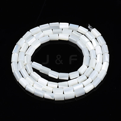 Natural Freshwater Shell Beads Strands SHEL-N003-26-A01-1