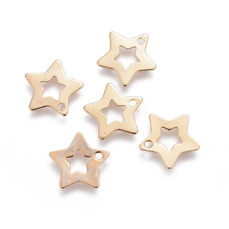 201 Stainless Steel Charms STAS-F192-028G-1