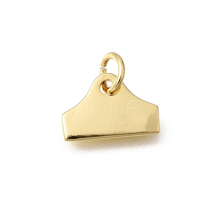 Brass Pendants KK-Z155-07G-04-1