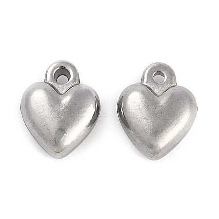 304 Stainless Steel Charms STAS-R135-01P-02-1