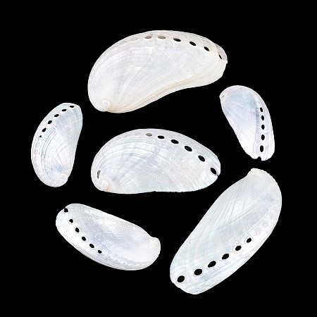 Abalone Shells Ornaments SHEL-T020-54-1