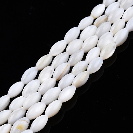 Natural Freshwater Shell Beads Strands SHEL-N026-212-A01-1