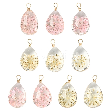 10Pcs 2 Colors Glass Pendants GLAA-YW0005-46-1