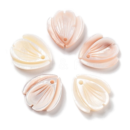 Natural Freshwater Shell Pendants SHEL-D082-04A-1