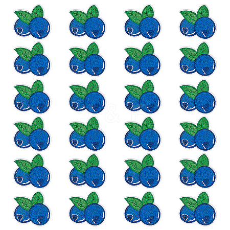 24Pcs Blueberry Computerized Embroidery Cloth Iron On/Sew On Patches PATC-BC0001-24-1