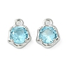 Brass Micro Pave Cubic Zirconia Charms KK-L208-10P-06-2