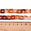 Natural Red Agate Beads Strands G-N342-102A-5