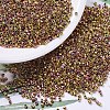 MIYUKI Delica Beads SEED-MY11-DB0507-1