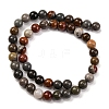 Natural Picture Jasper Beads Strands G-H037-A01-02-3