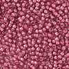 TOHO Round Seed Beads X-SEED-TR08-0959-2