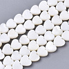 Natural Freshwater Shell Beads Strands SHEL-N026-67-1