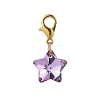 Star Glass Pendant Decorations HJEW-JM02956-3