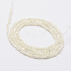 Natural White Shell Beads G-N0190-11-2mm-2