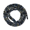 Natural Sapphire Beads Strands G-F803-A01-01B-3