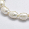 Natural Cultured Freshwater Pearl Beads Strands PEAR-F007-67-01-3