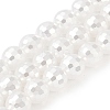 Electroplated Shell Pearl Beads Strands BSHE-C007-A01-02-1