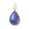 Natural Lapis Lazuli Copper Wire Wrapped Pendants PALLOY-JF01398-01-1