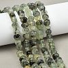 Natural Prehnite Beads Strands G-P617-B01-01-1