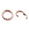 Ion Plating(IP) Twisted Ring Hoop Earrings for Girl Women STAS-K233-02A-RG-2