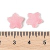 Imitation Candy Food Style Resin Cabochons RESI-R461-02C-3