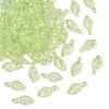 Transparent Acrylic Charms X-TACR-F009-11B-1