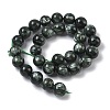 Natural Seraphinite Beads Strands G-C270-O01-13-3