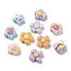Opaque Resin Cabochons X1-RESI-K027-30-2