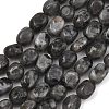 Natural Larvikite Beads Strands GG-C286-A28-2