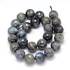 Natural Labradorite Round Bead Strands G-O094-06-16mm-3