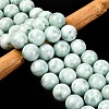 Natural Glass Beads Strands G-I247-31H-1