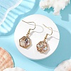 Natural Paua Shell Dangle Earrings EJEW-JE06274-01-1