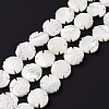 Natural Trochid Shell Beads Strands SSHEL-G023-16B-2