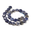 Natural Sodalite Beads Strands G-M403-C11-3